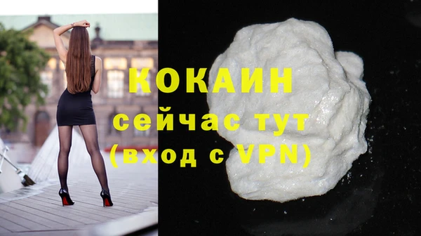 винт Няндома