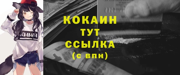 винт Няндома