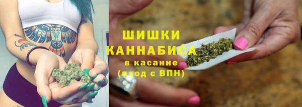 винт Няндома
