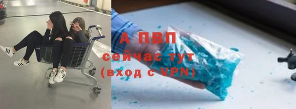винт Няндома
