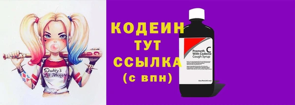 винт Няндома