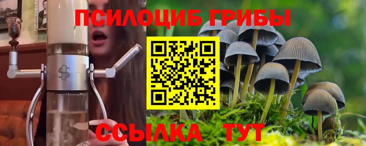 Псилоцибиновые грибы Psilocybe  Вход с VPN  Усолье-Сибирское 